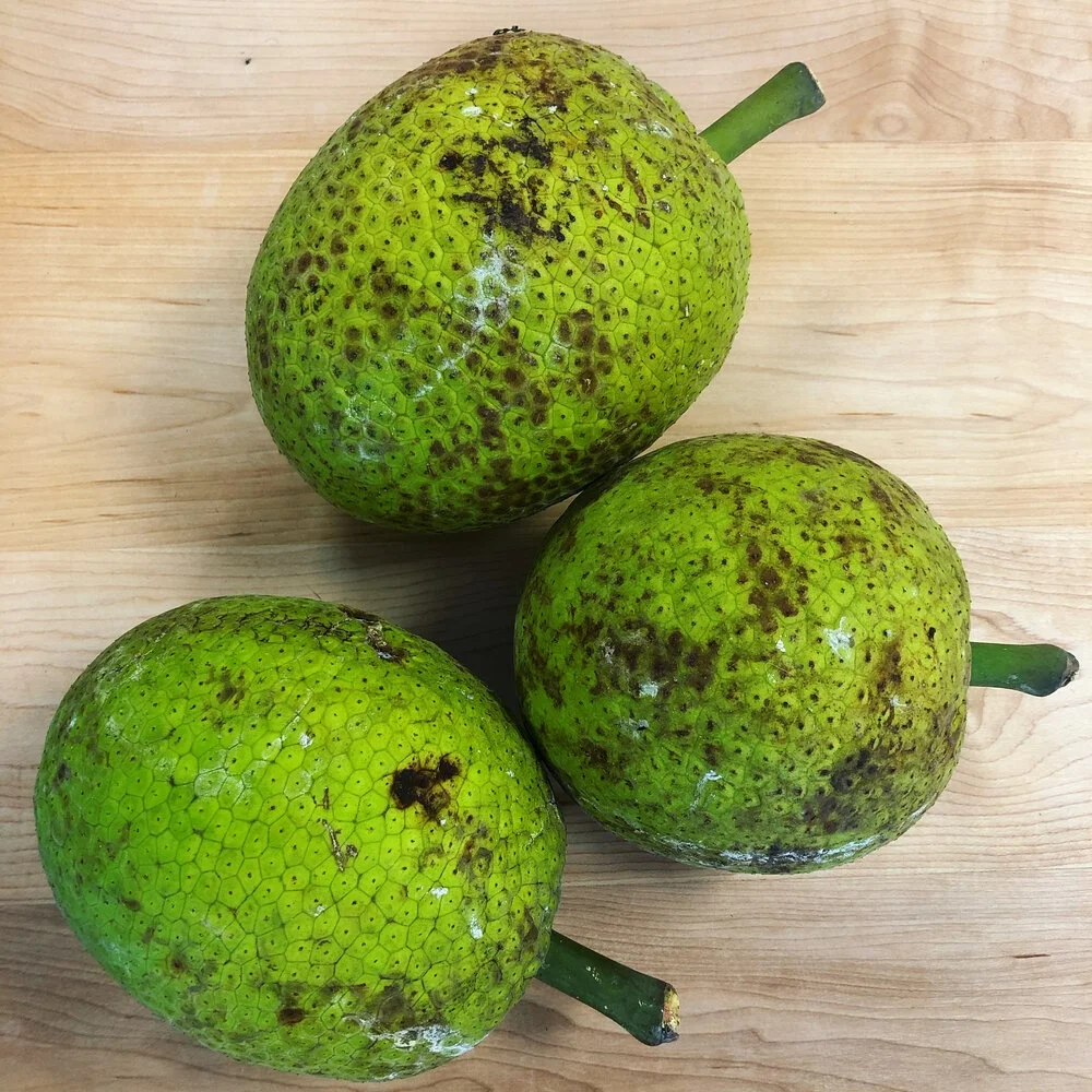 ABOUT US - 17B15DF1 C97A 412E 90C3 BAA0DA3BF32B